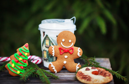 Cute Gingerbreadman and Shortbread Owl cookies for Christmas and cup of coffee on outdoor fir-tree...