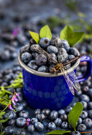 Close-up of fresh ripe summer blueberries and dragonfly on top of blue enamel mug