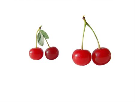 two couples of cherries at the pedicle isolated on the white background                      の写真素材