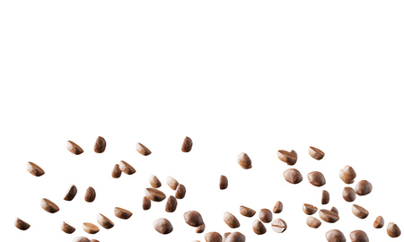 Coffee beans on a white background. Mock up. 3d renderingの写真素材
