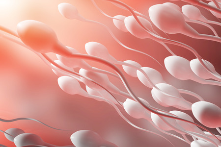The movement of sperm to the egg on a red background.の写真素材
