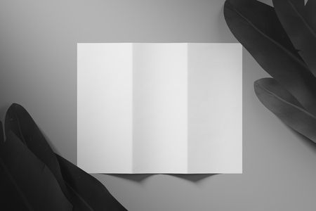 Blank piece of paper on grey background with tropical leaves in corner. Mock up.の写真素材
