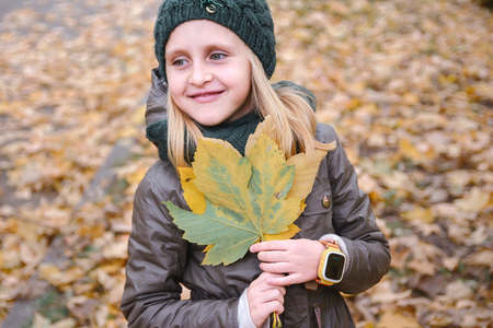 Portrait of a little girl with a bouquet of autumn leaves against the background of fallen leaves in the parkの写真素材