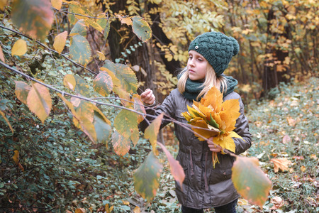 Autumn forest. Autumn Park. Autumn mood. Little girl with a bouquet of autumn leavesの写真素材