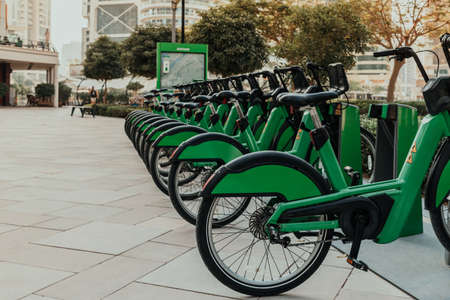 Green eco-friendly bike public rentals in a row located outside in a park area