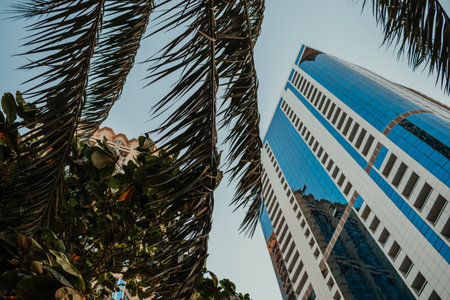 Urban architecture with palm trees on the background and blue sky