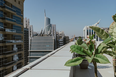 Urban rooftop garden with city viewの写真素材