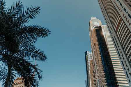 Skyscrapers with palm tree silhouette on a clear blue skyの写真素材