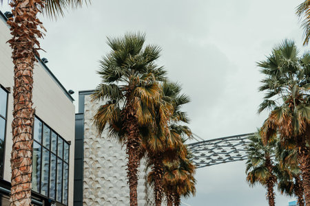 Modern building with palm trees and geometric facade designの写真素材