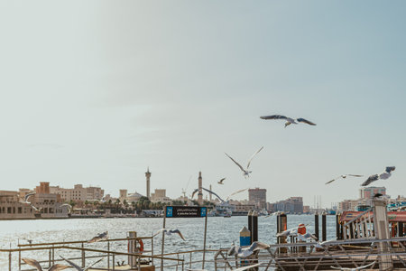 Dubai, UAE - January 6, 2020: Seagulls flying over Al Sabkha Water Taxi Station in Old Dubai with city skyline at sunset timeのeditorial素材