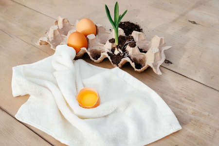 Easter, eggs and spring first green flower on the table, wooden table white towelの写真素材