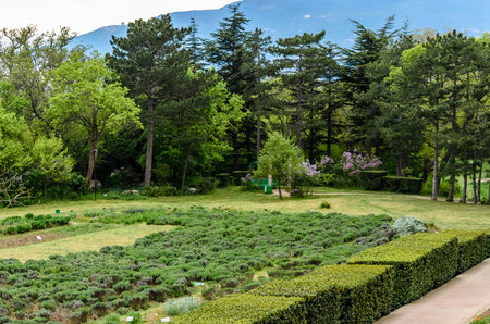 Yalta, Crimea, Russia- May 1, 2020: Massandra Palace - museum of Emperor Alexander III on the southern coast of Crimea.のeditorial素材