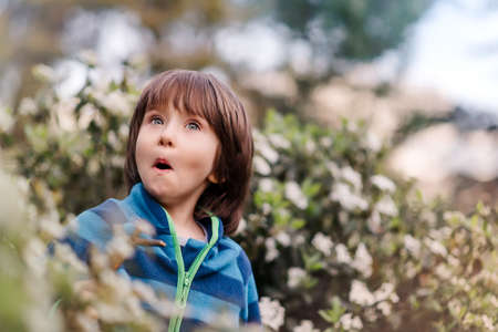 Portrait of young surprised boy, expression on face, kid in the blooming park. Concept of children emotion. Close up.の写真素材