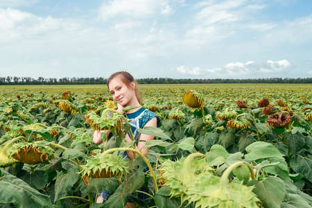 Beauty joyful teenage girl with sunflower enjoying nature and laughing on summer sunflower fieldの写真素材