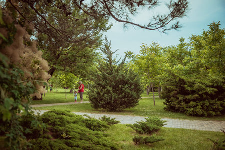 A green lawn in the park summer day. Summer landscape.のeditorial素材