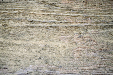 Tree bark texture. Oak wood background. Old Trunk pattern. Rough wooden skin closeup. Dry log...