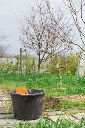 Removing weeds .Dandelion removal. Cleaning the garden in the spring. gloves in a bucket on spring green garden backgroundの写真素材