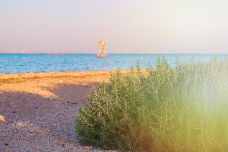 Natural blurred defocused background for concept summer vacation. Nature of tropical summer beach. Light sand beach, ocean water sparkles against blue sky.の写真素材