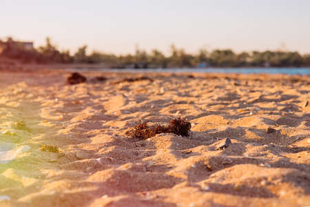 Natural blurred defocused background for concept summer vacation. Nature of tropical summer beach. Light sand beach, ocean water sparkles against blue sky.の写真素材