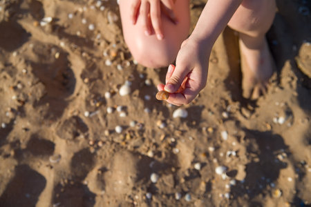 Hand pick limpet, human hand pick limpet in the sand, take up shell in the sand.の写真素材