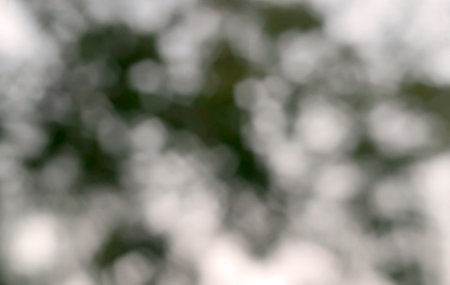 snow bokeh texture on black background, snowflakes falling in the sky overlayの写真素材