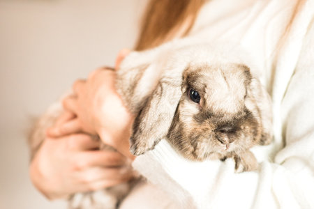 Girl hugs a cute white rabbit at home. a girl with a rabbit, bunny pet. close upの写真素材