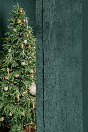 Beautiful holdiay decorated room with Christmas tree with copyspaceの写真素材