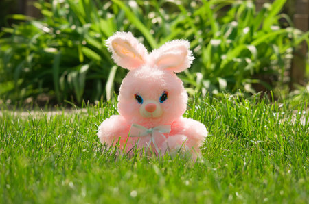 Little Bunny In Spring Garden - Easter Card