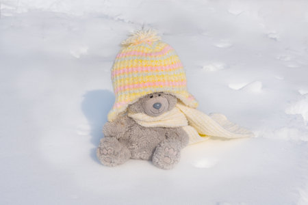 Lost teddy bear toy sitting on snow in winter in warm hat teddy bear. sit alone in the in playground, Lost toy or Loneliness concept, International missing Children dayの写真素材