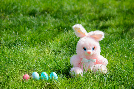Easter eggs hiding in the grass with rabbit