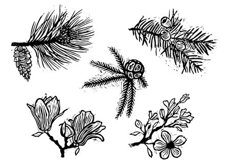linocut stamps of trees, sakura, magnolia, thousand berry, pine, cypress, ginkgo, linden and otherのイラスト素材