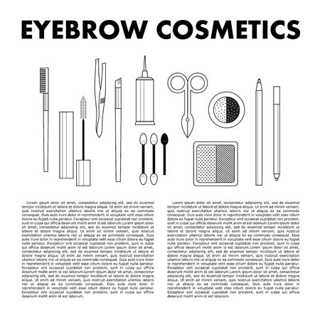 Stylish eyebrow make up collection. Vector guide.のイラスト素材