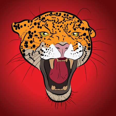 Vector jaguar portrait. Jaguar head on red background.の写真素材