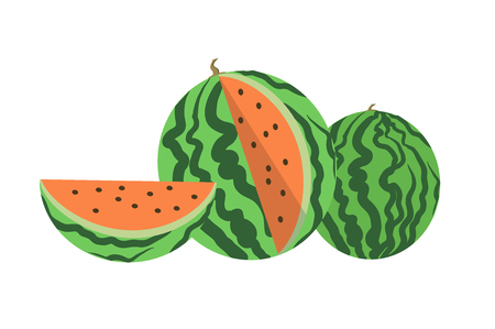 Vector flat illustration of watermelon. Fresh fruit icon.の写真素材