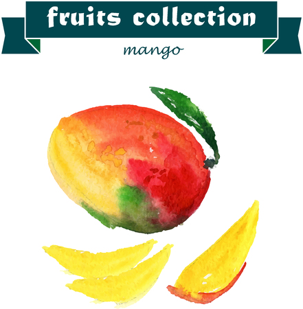 Vector set of watercolor mango elements on white background. Cute illustration is good for magazine or book, poster and card design, menu cover.のイラスト素材