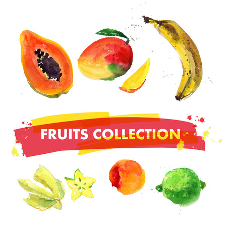 Vector set of watercolor fruits on white background. Fresh food illustration. Good for magazine and book articles, poster design, restaurant menu template.のイラスト素材