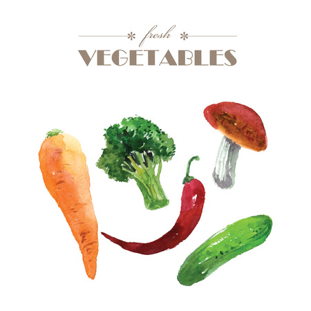 Vector set of watercolor fresh vegetables on white background. Fresh food illustration. Good for magazine and book articles, poster design, restaurant menu template.のイラスト素材