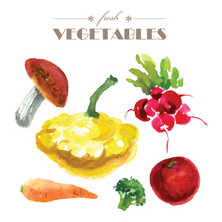 Vector set of watercolor fresh vegetables on white background. Fresh food illustration. Good for magazine and book articles, poster design, restaurant menu template.のイラスト素材