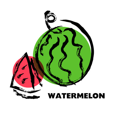 Vector hand drawn fruits sketch. Artistic and flat food illustration. Good for magazine, book or article illustration, graphic print design.のイラスト素材