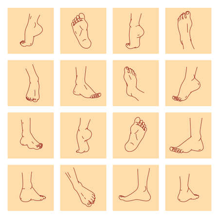 Collection of bare human man and woman feet arranged in different poses isolated on light background. Front, side, back view. Foot icon. Vector line art illustration.のイラスト素材