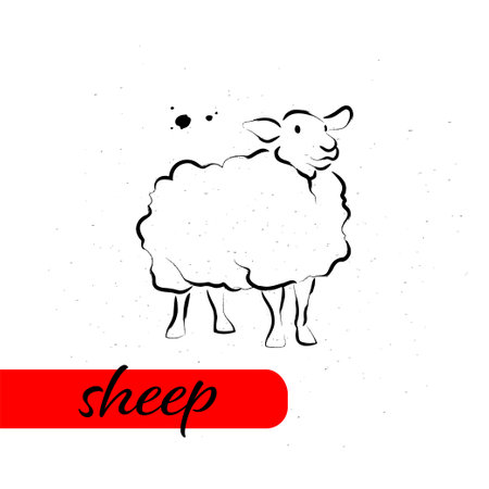 Chinese sheep year calendar animal silhouette isolated on white textured background. Vector hand drawn sketch style illustration. For banners, cards, advertising, congratulations.のイラスト素材