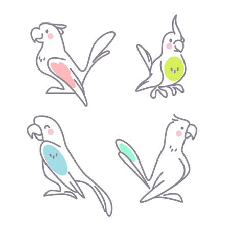 Collection of cute funny exotic macaw and ara parrots characters isolated on white background. Vector flat outline hand drawn illustration. For kids illustrations, nursery decor, cards, banners.のイラスト素材