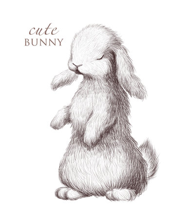 Adorable hand drawn cute bunny portrait isolated. Artistic watercolor illustration for bday cards, baby shower, print.の写真素材
