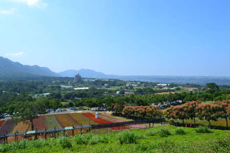 view of the flower gardenの写真素材