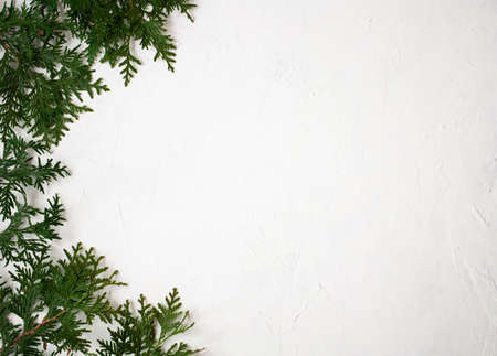 Christmas or New Year background: fir tree branches on a white background. White frame for your congratulationsの写真素材