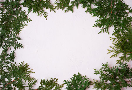 Christmas or New Year background: fir tree branches on a white background. White frame for your congratulationsの写真素材