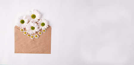 Yellow wenvelope with camomile on blue wooden background. Top view. Greeting card concept for valentines day, wedding or mothers day, womens day.の写真素材