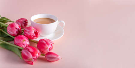 Banner.One cup of hot, morning coffee and a bouquet of pink-lilac tulips on a bright pink background. View from above.Copy space for text. The concept of holidays.の写真素材