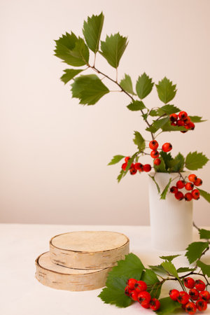 Wood podium saw cut of tree on beige background with autumn red hawthorn berries ans plaster vase. Concept scene stage showcase, product, promotion sale, presentation, beauty cosmetic. Wooden stand studio emptyの写真素材