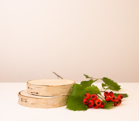 Wood podium saw cut of tree on beige background with autumn red hawthorn berries. Concept scene stage showcase, product, promotion sale, presentation, beauty cosmetic. Wooden stand studio emptyの写真素材
